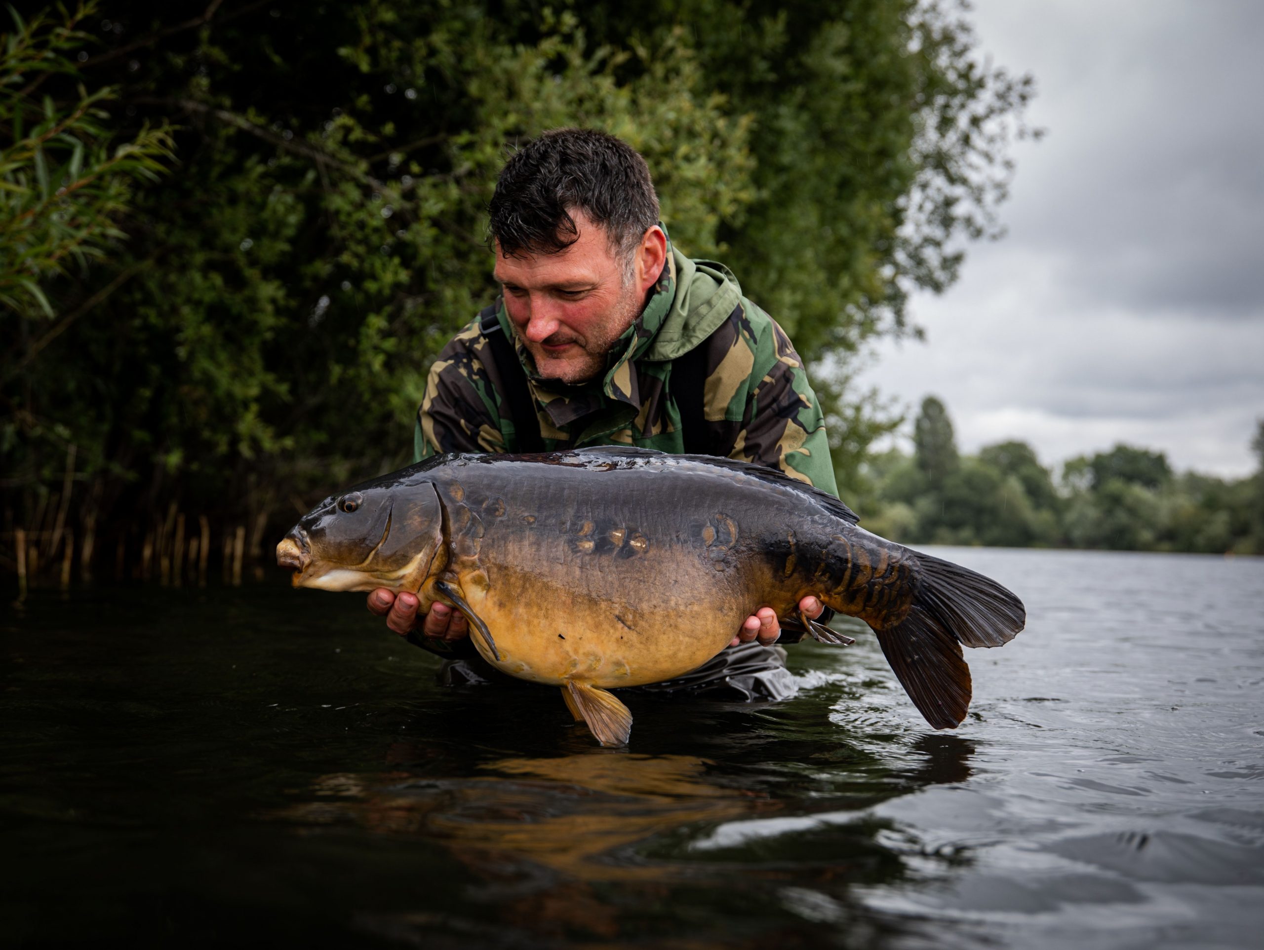 Ecureuil balancier rigide carp spirit - Integral Pêche